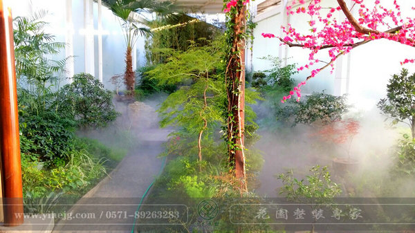 這樣的室內(nèi)庭院，簡直讓我尖叫！